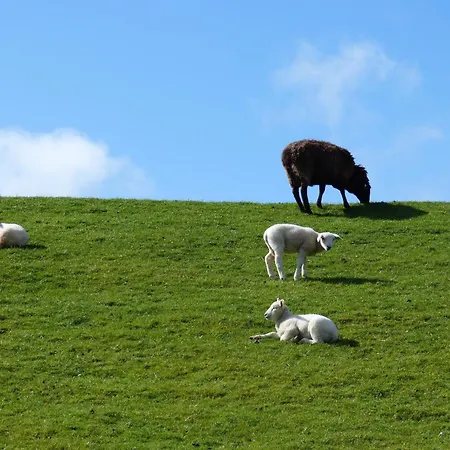 Appartamento Oland, Starklef *